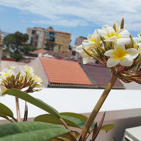 Apartamento Plumaria 马拉加 外观 照片